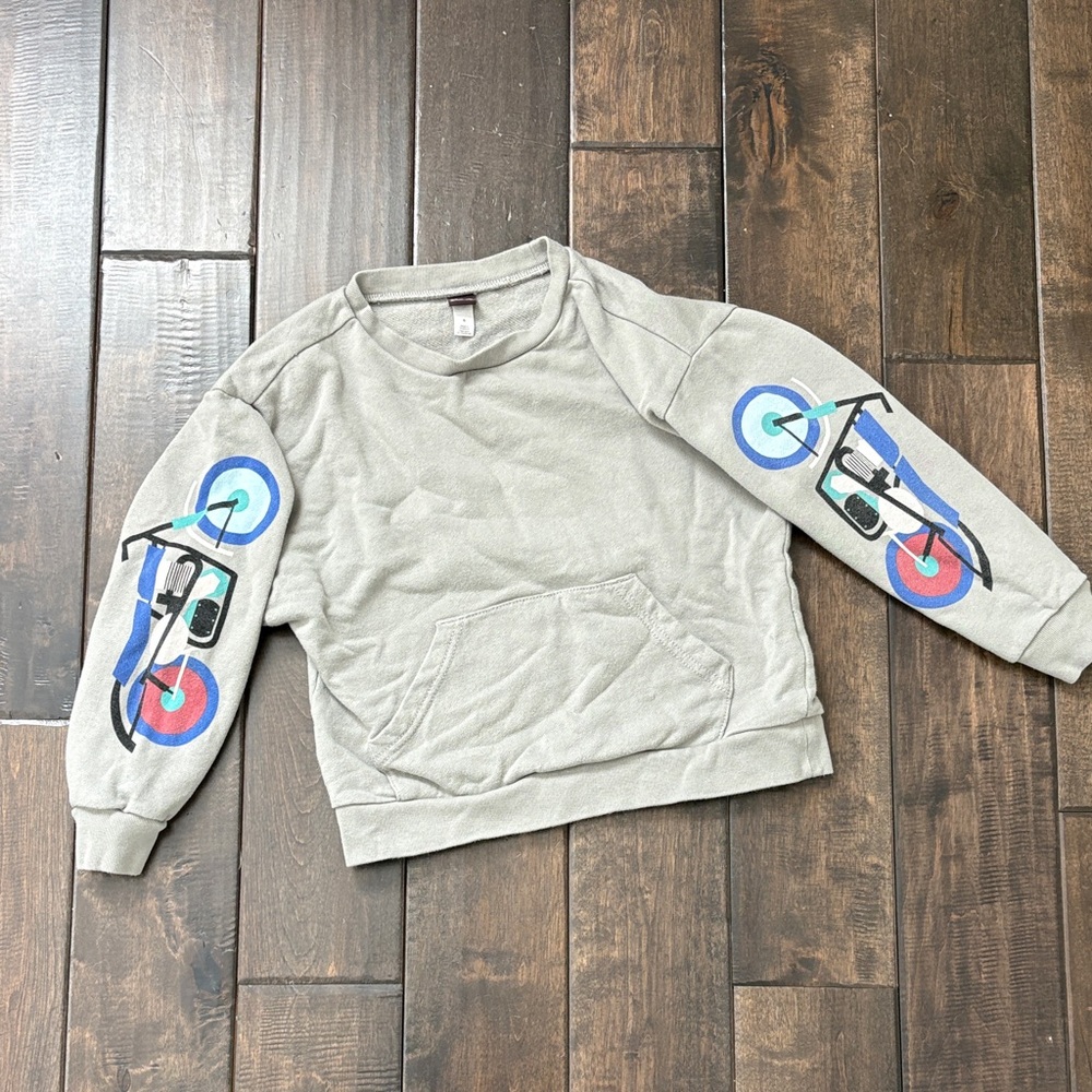 TEA COLLECTION Size 6 Boy Bundle Gray Crewneck, long sleeves, T shirt Dinosaurs - Picture 2 of 11